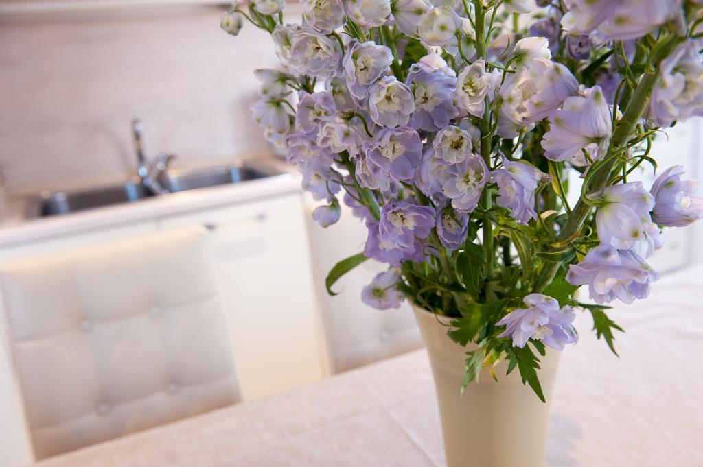 Bed & Breakfast Ca' Cappellis Venedig